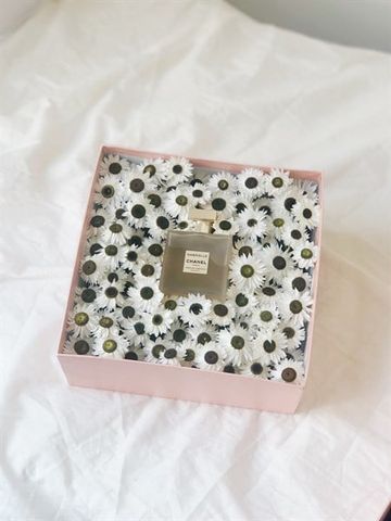 Hộp hoa cúc Acrolinium 1 ngăn