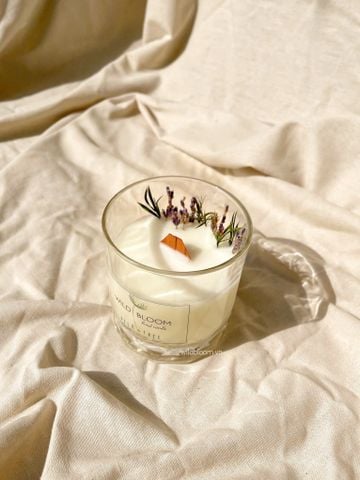 Nến hoa Wild&Free-M