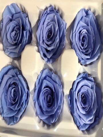 Hoa hồng preserved- LIGHT BLUE - M (4-5cm)