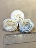 Sola Rose size 4cm - màu trắng
