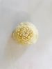 Hoa khuếch tán tinh dầu 3cm-trắng