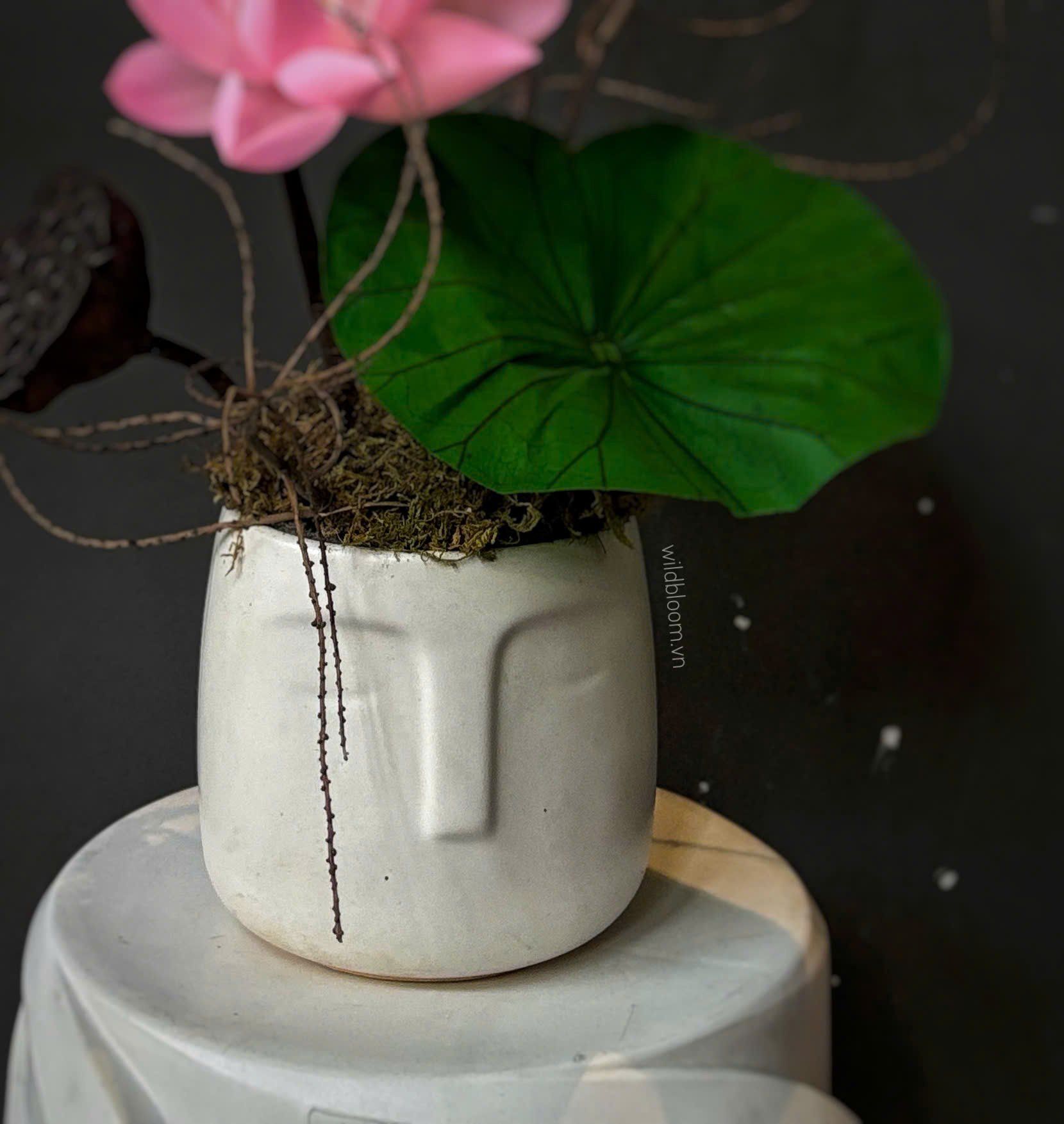 Chậu sen preserved màu hồng M180020S