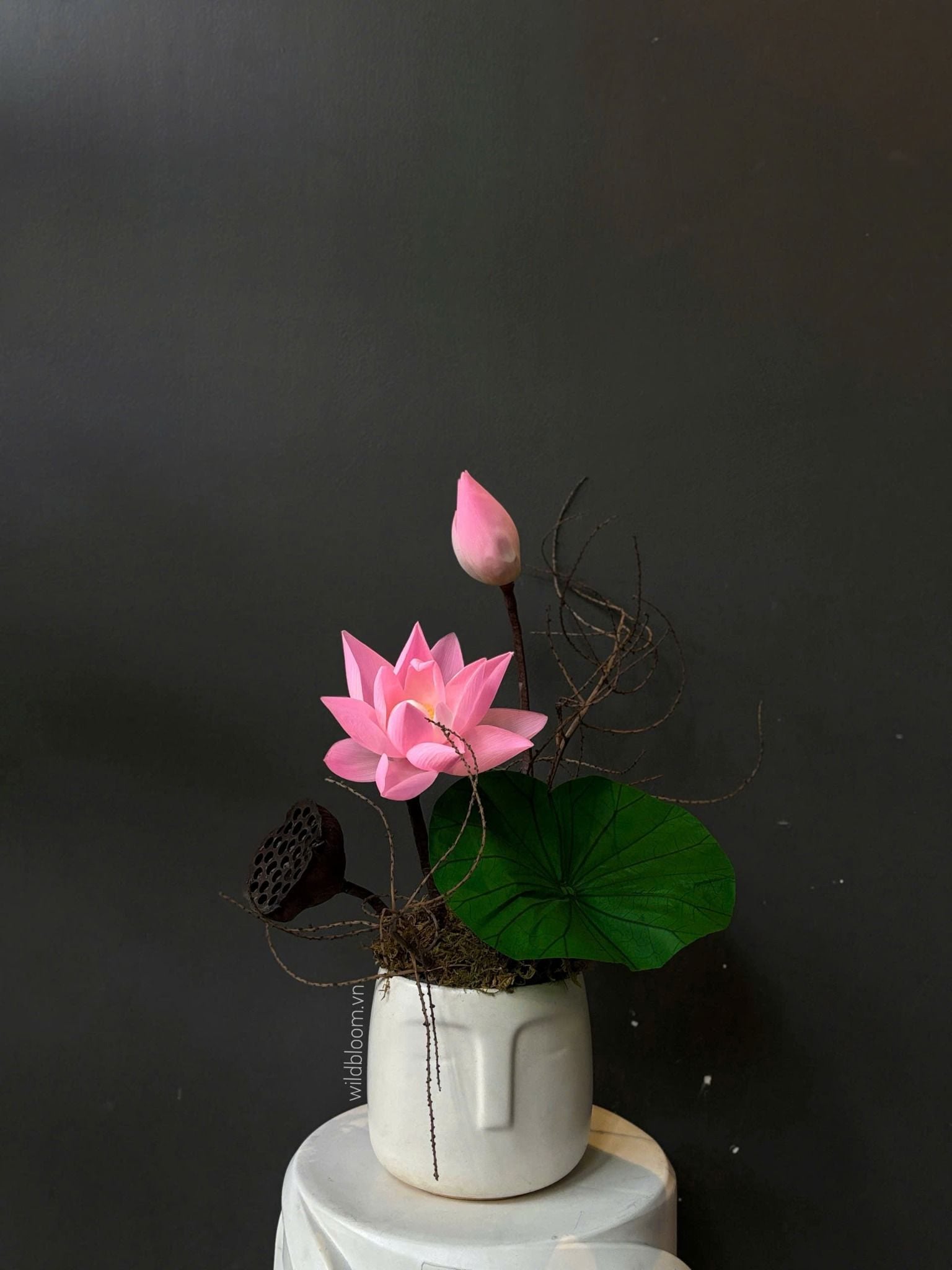 Chậu sen preserved màu hồng M180020S