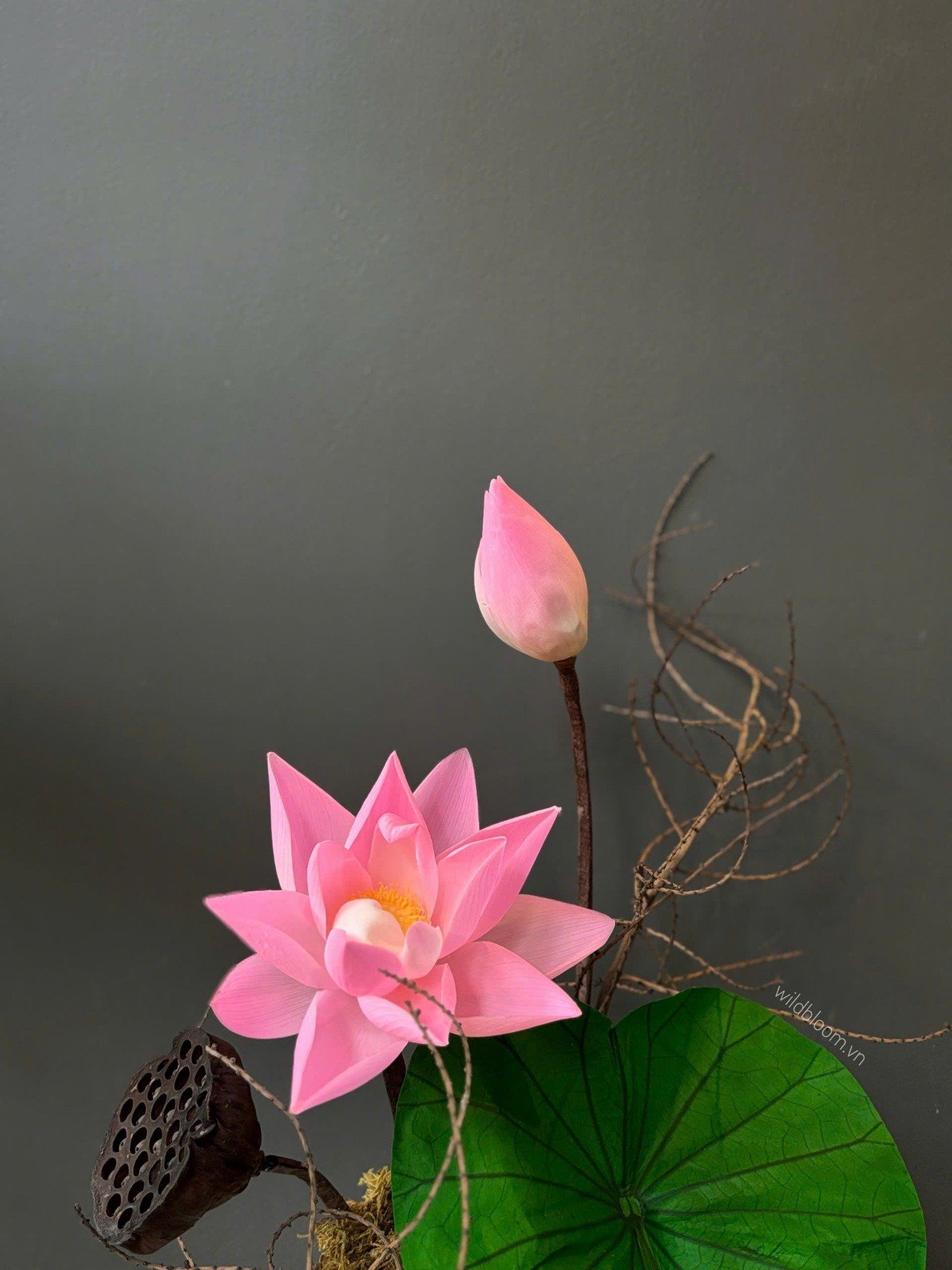 Chậu sen preserved màu hồng M180020S