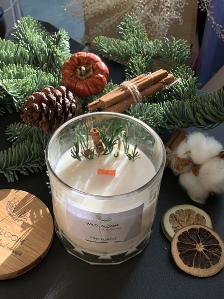 Nến thơm Pine Forest size M