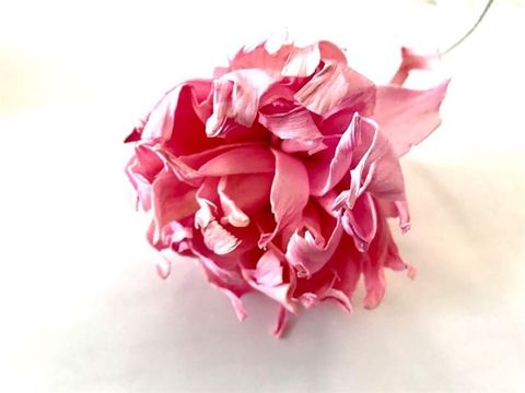 Hoa khuếch tán tinh dầu 5 cm-hồng