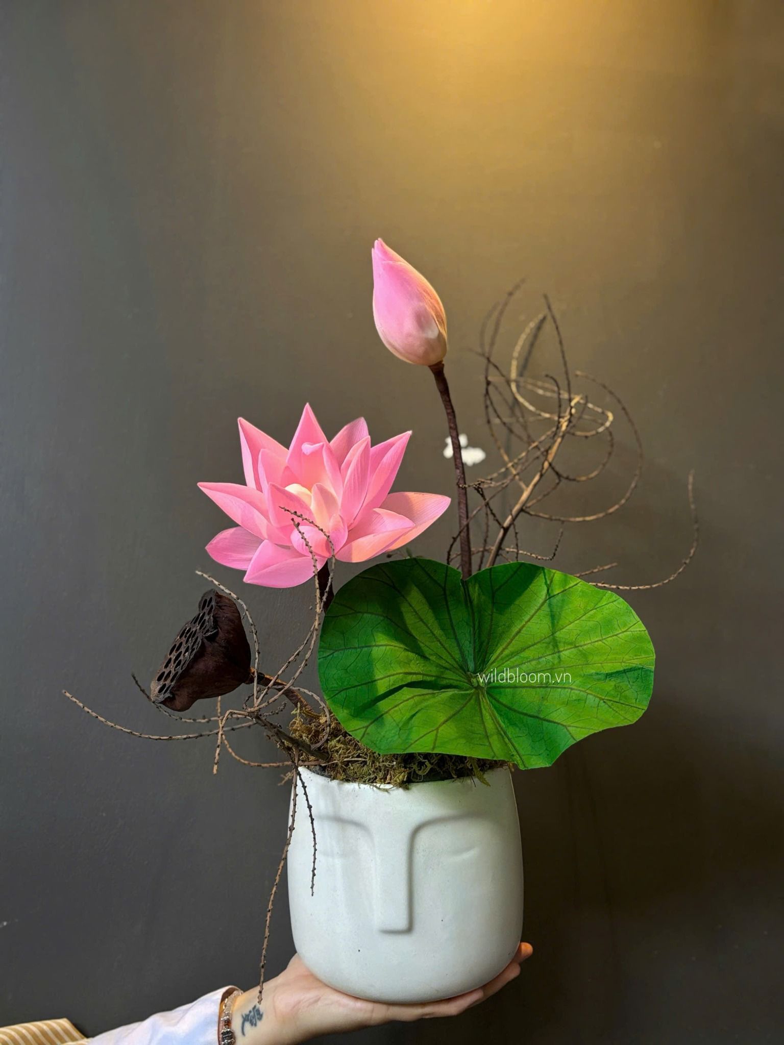Chậu sen preserved màu hồng M180020S