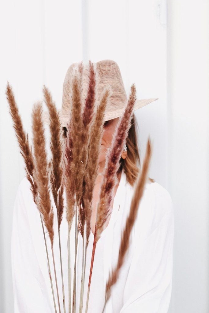 Cỏ lau đuôi cáo màu nâu