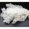 Preserved Asparagus Fern - White