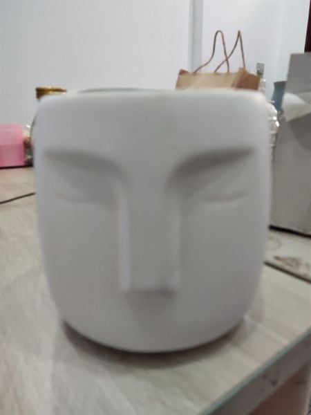 Chậu zen hồng size trung