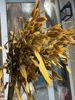 Cỏ Bromus (Chasmanthium Latifolium) - vàng
