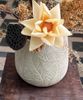 Chậu gốm màu kem hoa văn lá H19xW20xO18cm