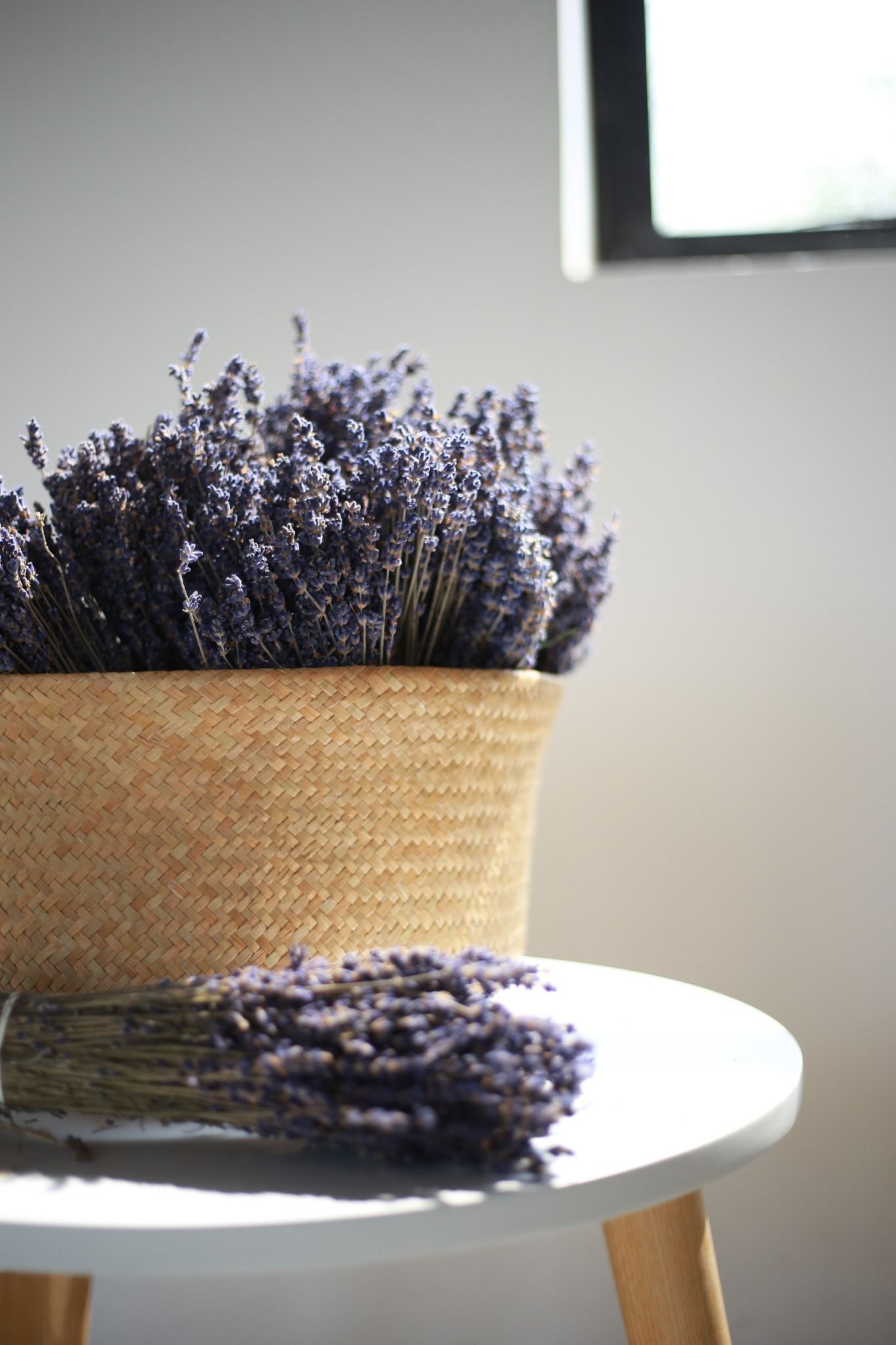 Hoa oải hương/Lavender