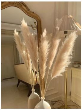 Cỏ lau-L-beige / Pampas grass