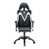 Ghế DXRACER GAMING CHAIR - VALKYRIE SERIES GC-V03-NW-B4