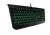 Bàn phím RAZER BLACKWIDOW - MECHANICAL GAMING KEYBOARD - US LAYOUT FRML (GREEN SWITCH)