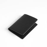  Passport P05 De33 