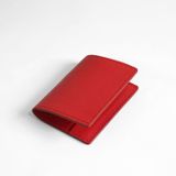  Passport P05 Do177 