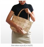  Túi Nina Do116-De33 