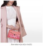  Túi Hi H163 - PK Anh Đào 25 
