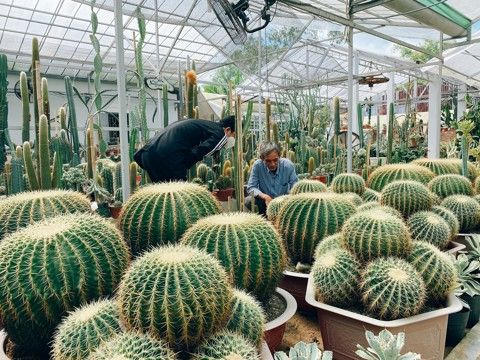  A Sản phẩm 03276 