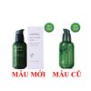 Tinh Chất Serum Trị Mụn Innisfree Green Tea Seed