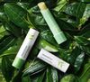 Son Dưỡng Môi Innisfree Green Tea Lip Balm