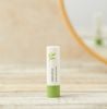 Son Dưỡng Môi Innisfree Green Tea Lip Balm