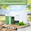 Bộ Kit Dưỡng Da Innisfree Green Tea Special Kit EX 4Pcs