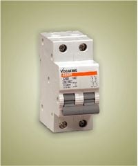 Cầu dao tự động Sino DK68N