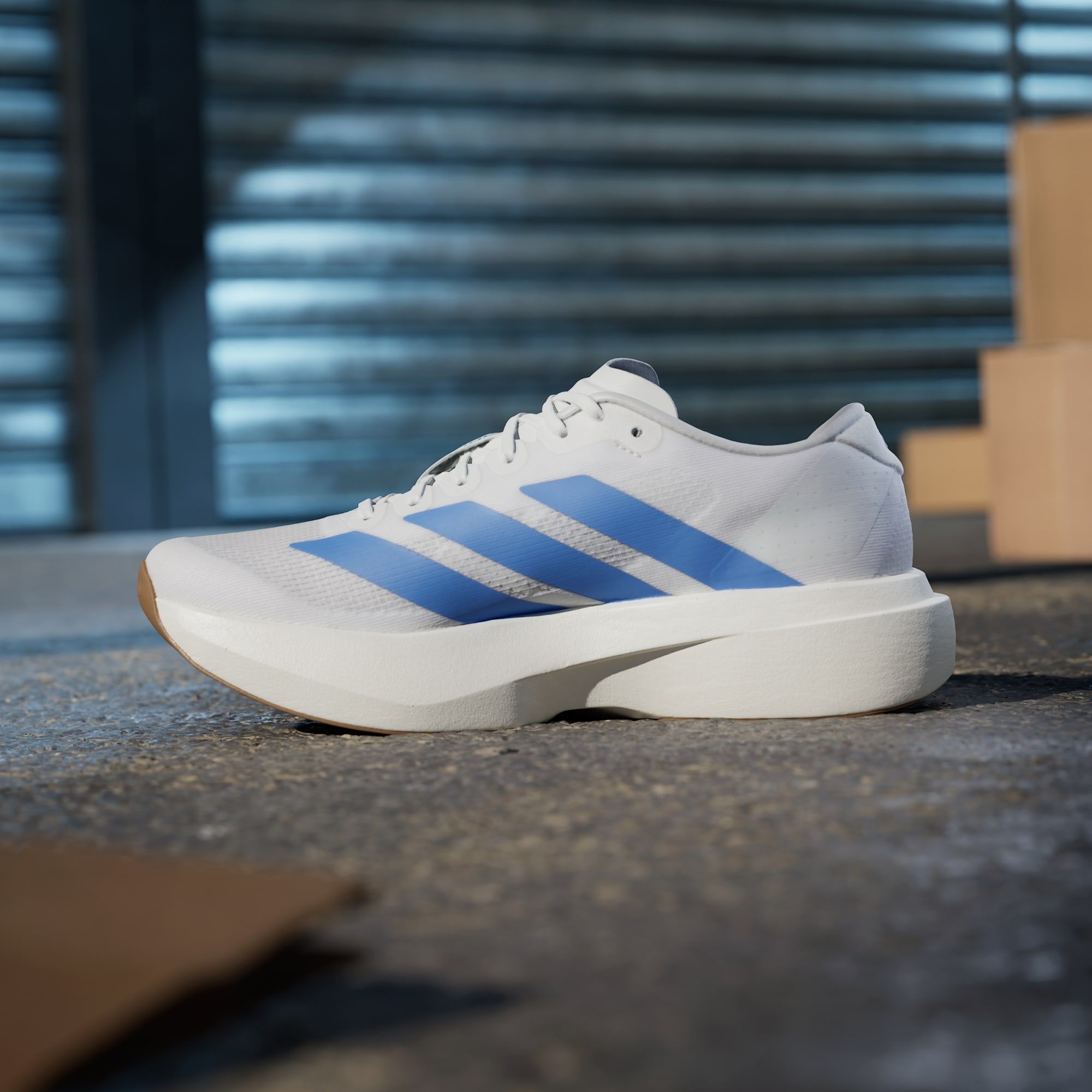  adidas Adizero EVO SL - Cloud White / Blue Fushion 