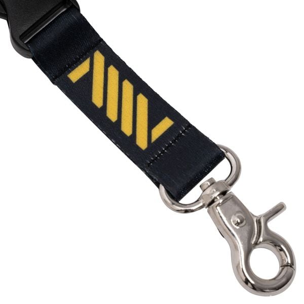  Lanyard 