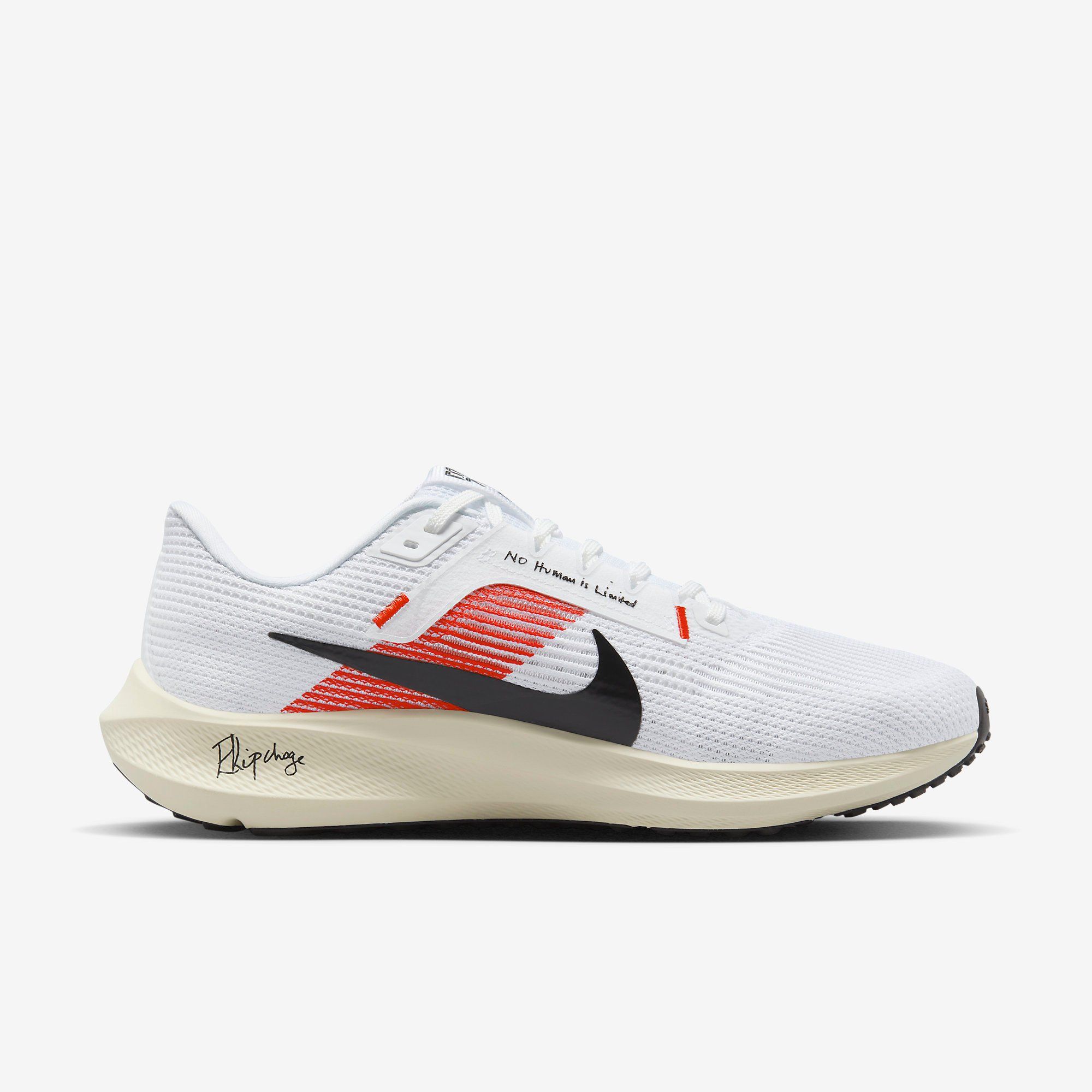  Nike Pegasus 40 