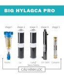 ATLAS - BIG F PRO - HYLAGCA