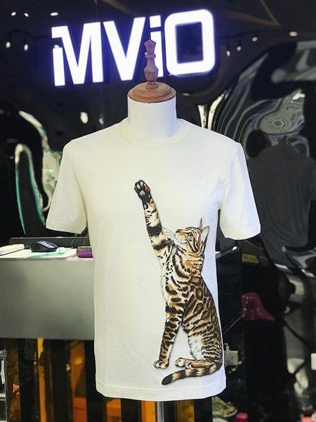  Phông Dolce Trắng Mèo G8Hi7Z 