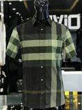  Sơ Mi Burberry Cộc Tay Xanh Lá Tđ 2019 