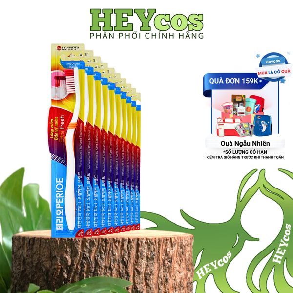 [Hàng trầy xước] COMBO 10 Bàn Chải Đánh Răng Perioe 