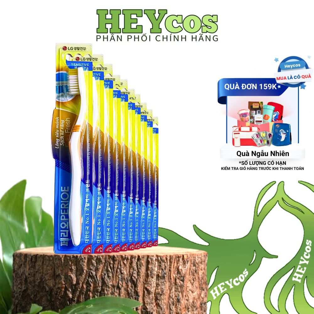 [Hàng trầy xước] COMBO 10 Bàn Chải Đánh Răng Perioe