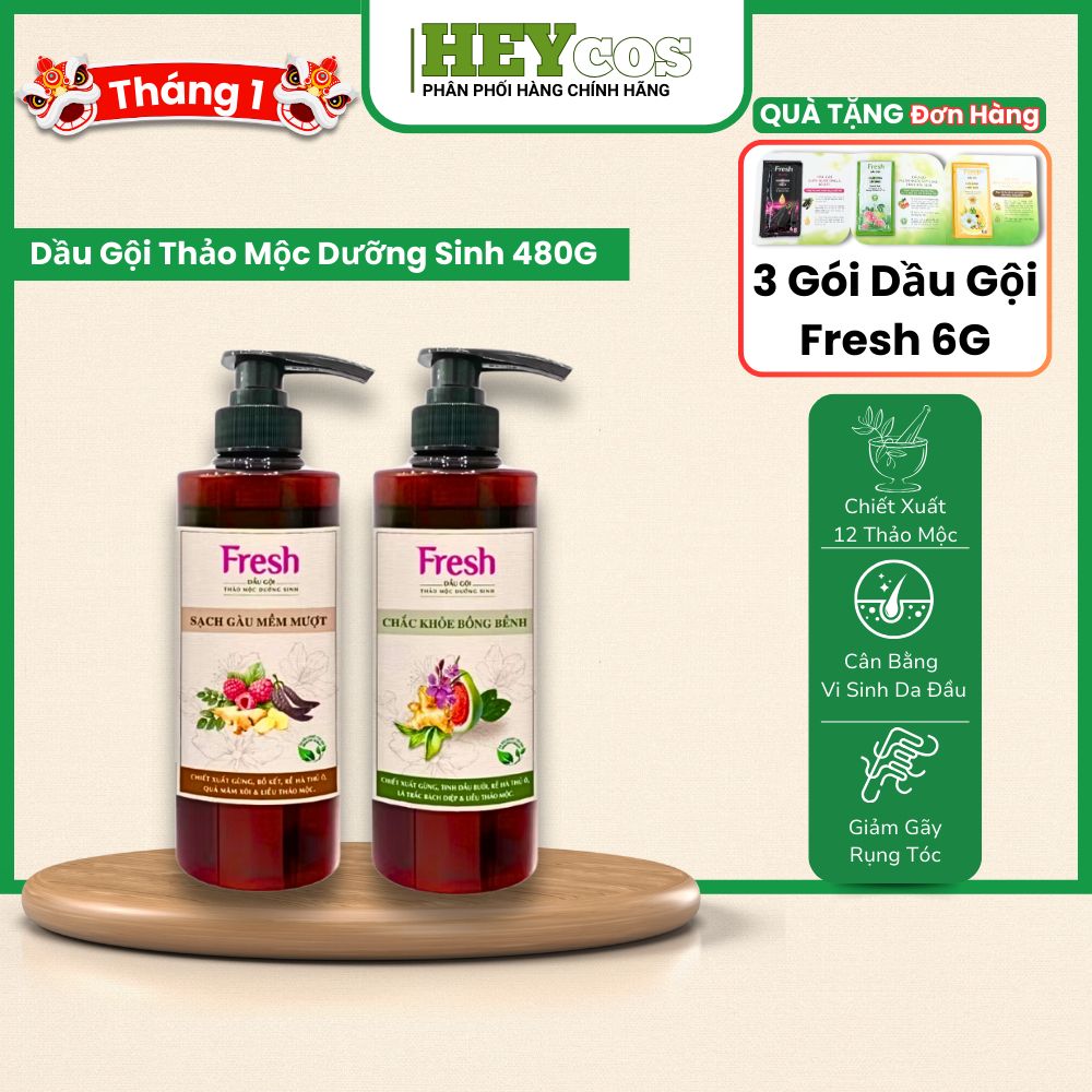 Dầu Gội Fresh Thảo Mộc Dưỡng Sinh 480g (Sạch Gàu Mềm Mượt / Chắc Khỏe Bồng Bềnh)