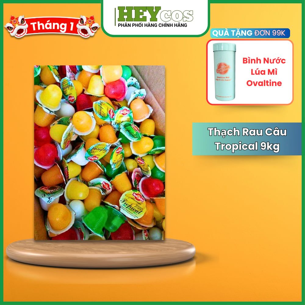 Thùng 9kg Thạch Rau Câu New Choice - Nhiều Hương Vị Trái Cây Thơm Ngon | HEYCOS