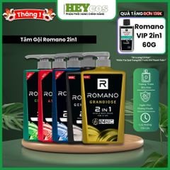 Tắm gội 2 trong 1 hương nước hoa Romano 2in1 650g/180g | HEYCOS