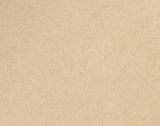  DESERT SAND BS160 