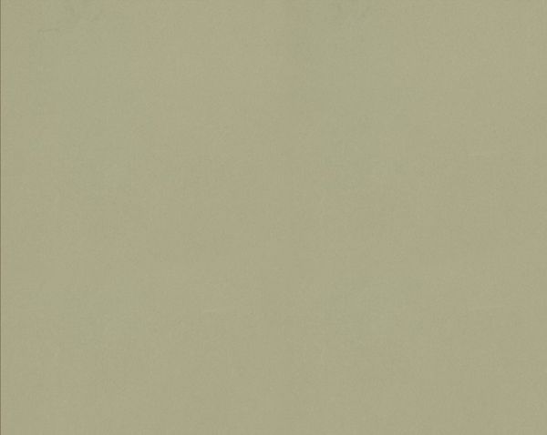 vicostone cascara bs181