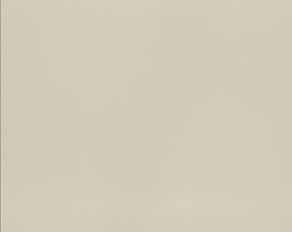 vicostone beluga bs4000