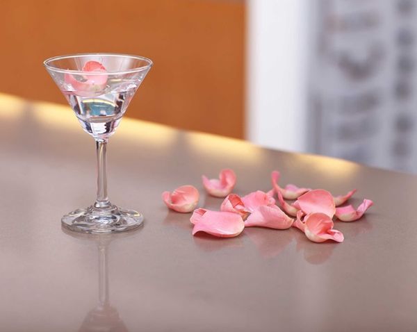 vicostone camellia bs4010