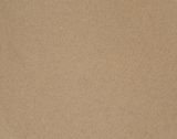  CAMELLIA BS4010 