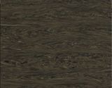  ERAMOSA BQ9602 
