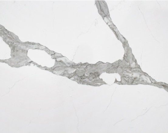 vicostone forza bq8920