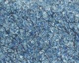  THUNDER BLUE BQ8786 