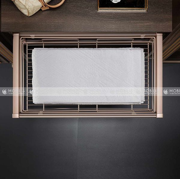  HỘC KÉO NAN DÂY, GIẢM CHẤN VIOLET 